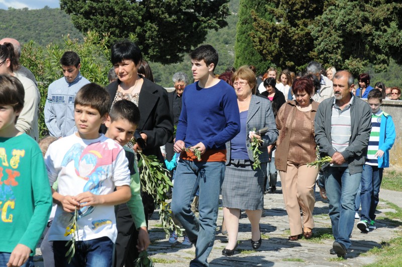 Cvjetnica (27)